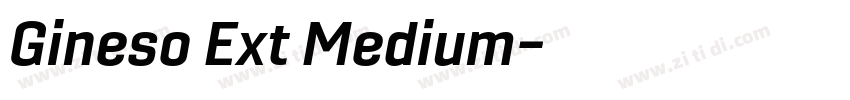 Gineso Ext Medium字体转换